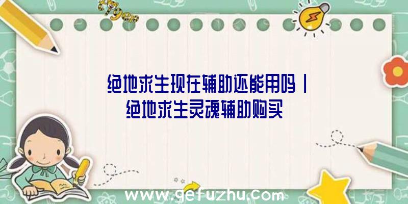 「绝地求生现在辅助还能用吗」|绝地求生灵魂辅助购买